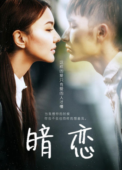 会计师证多少钱